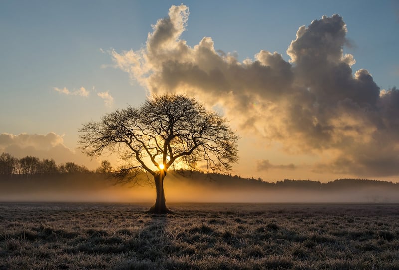 Silhouette in the sunset